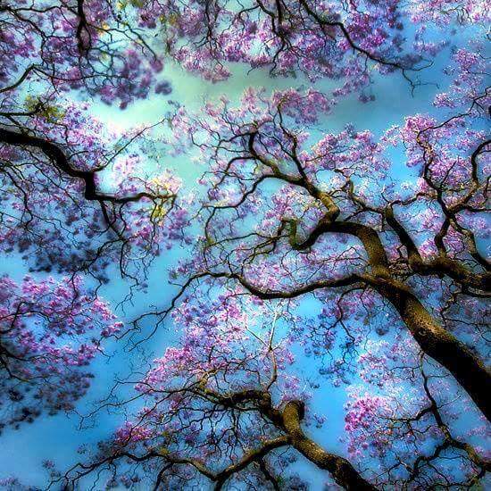 FB_IMG_1436693972962